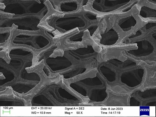 Tantalum (Ta) Foam_SEM_100 μm