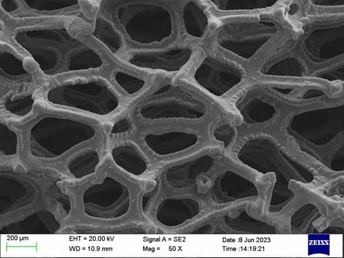 Tantalum (Ta) Foam_SEM_200μm_1