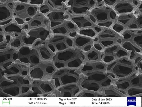 Tantalum (Ta) Foam_SEM_200 μm_2