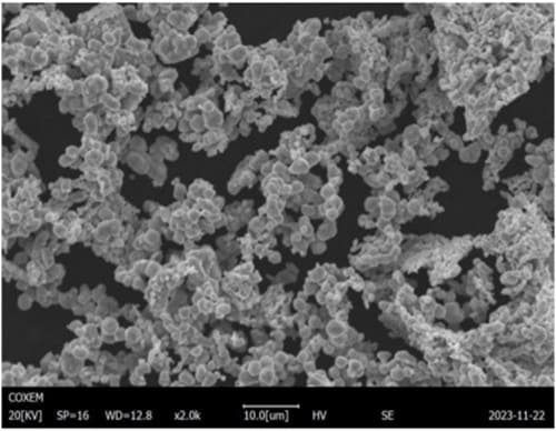 Irregular Molybdenum Powder SEM