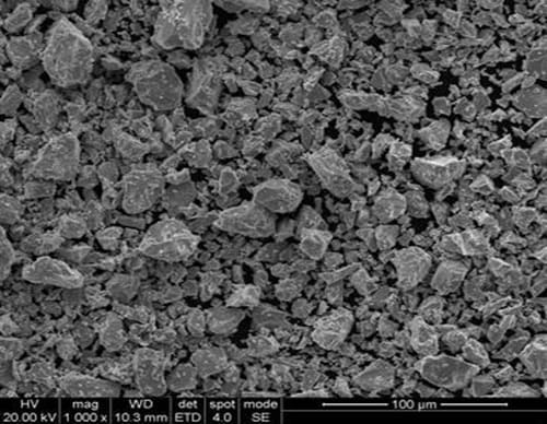 Niobium Powder-100μm_SEM