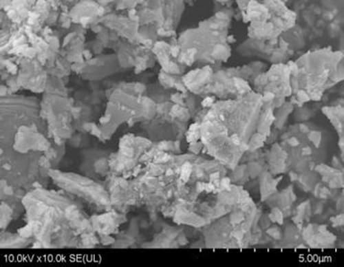 Zirconium Powder_SEM