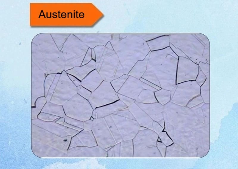 Austenite Metallographic Structure
