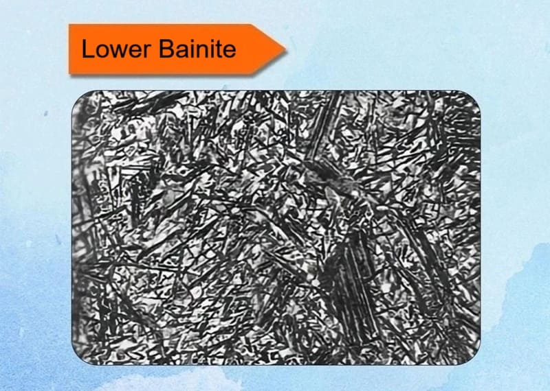 Lower Bainite Metallographic Structure