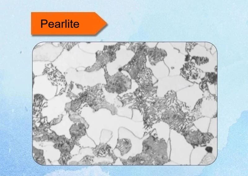 Pearlite Metallographic Structure