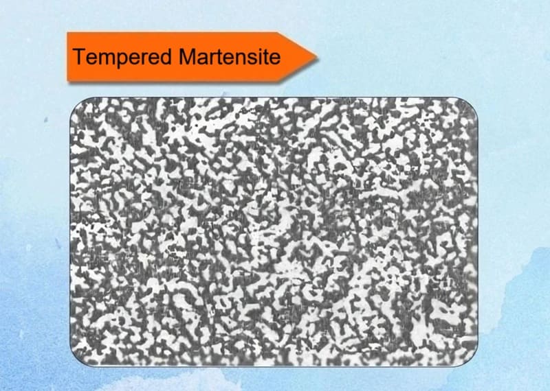 Tempered Martensite Metallographic Structure