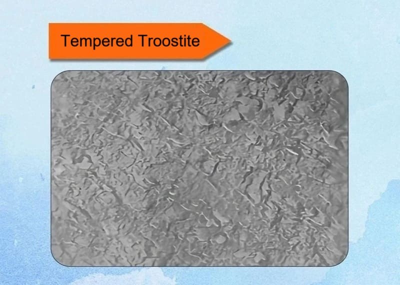 Tempered Troostite Metallographic Structure