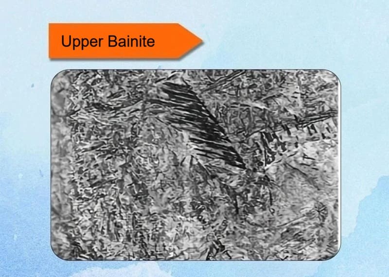 Upper Bainite Metallographic Structure