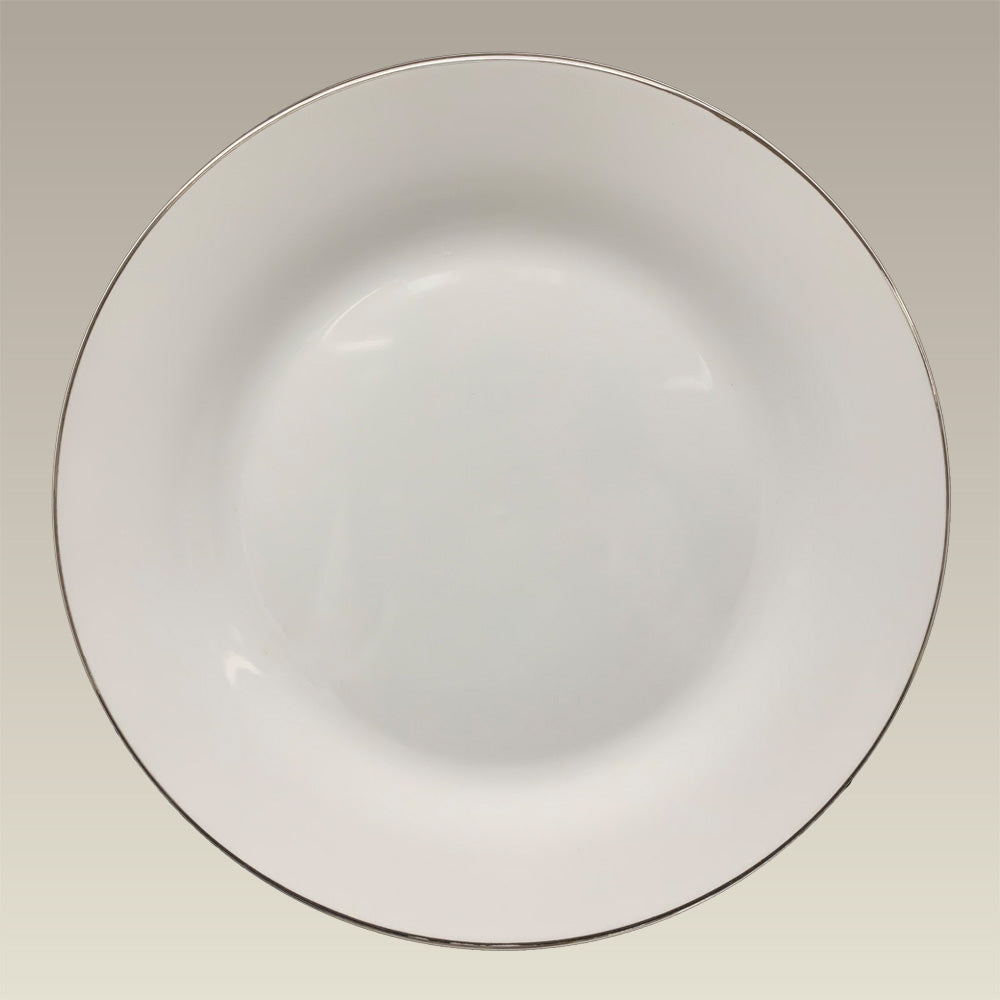 Platinum Plate Sheet and Disc HM 1024x683 1